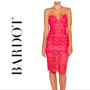Bardot Taylor Lace Cocktail Dress XS